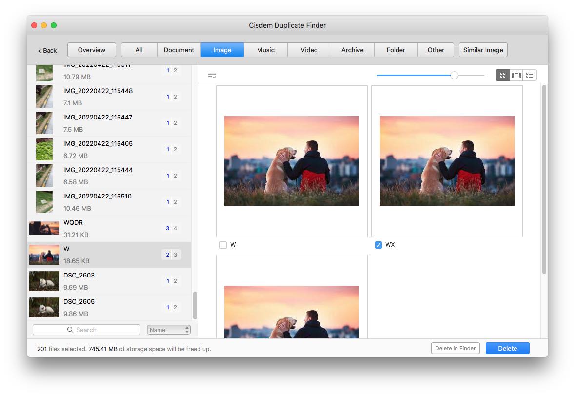 view duplicate files
