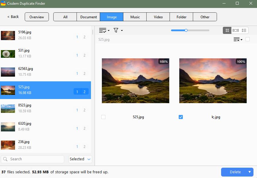 view the found duplicate files
