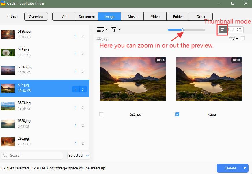view duplicate files