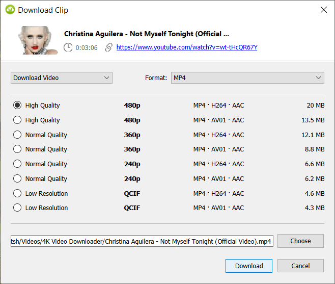 vevo download pc